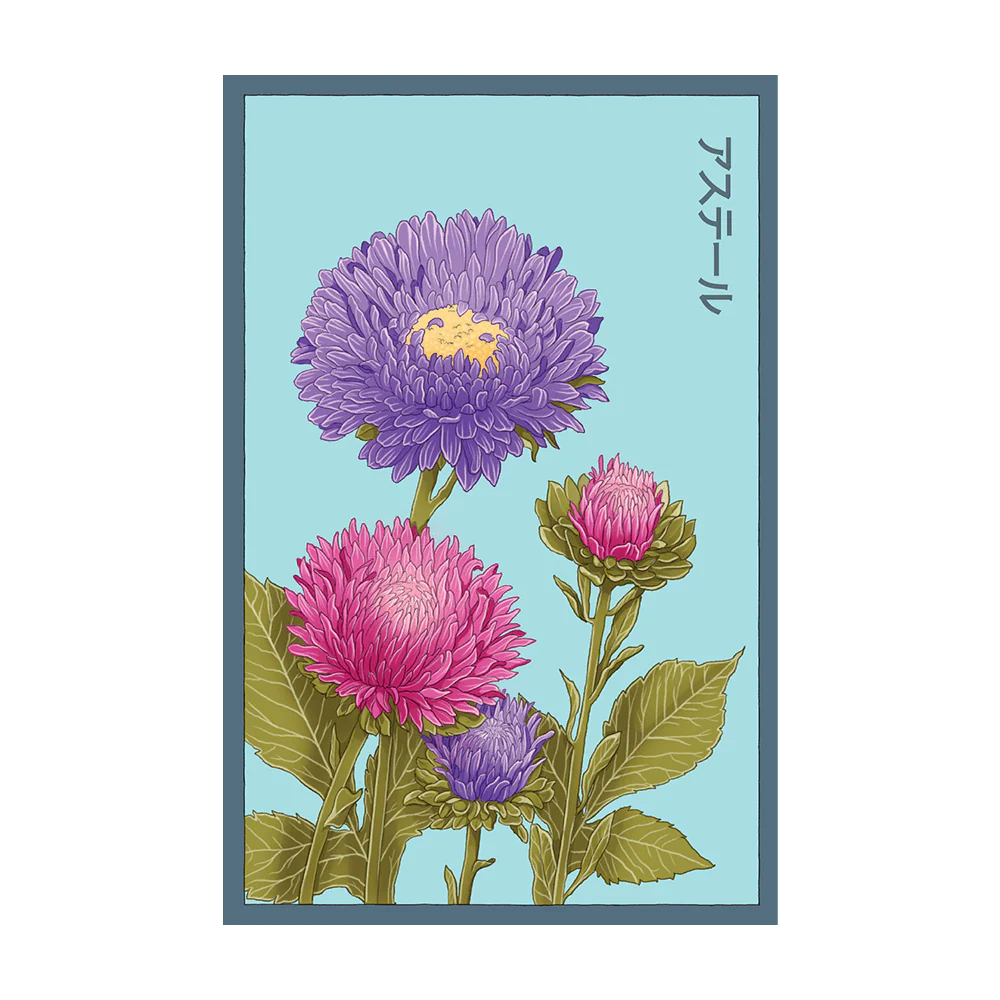 Shido Seeds Aster Flower