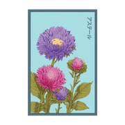Shido Seeds Aster Flower
