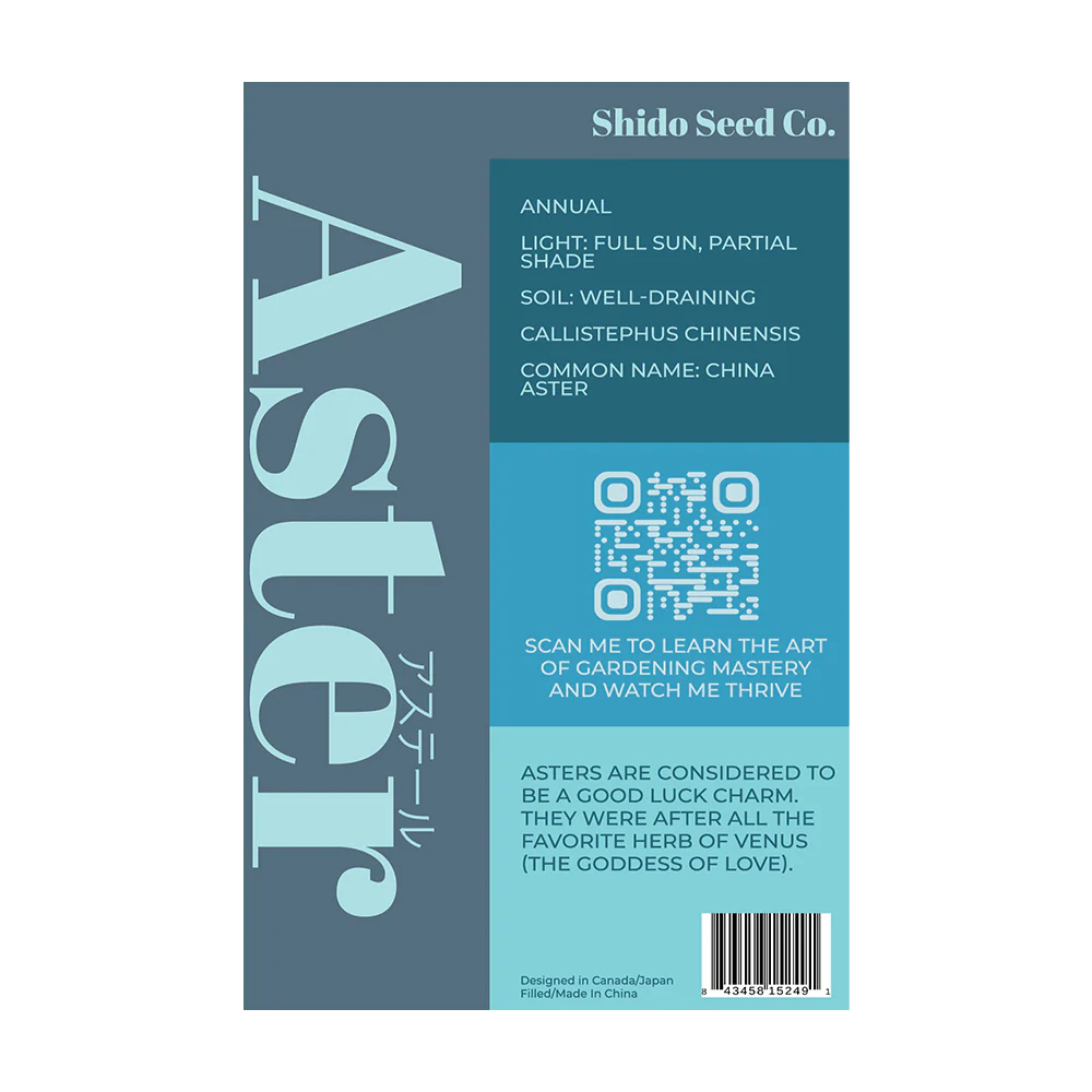 Shido Seeds Aster Flower