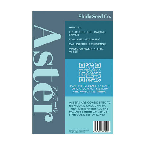 Shido Seeds Aster Flower