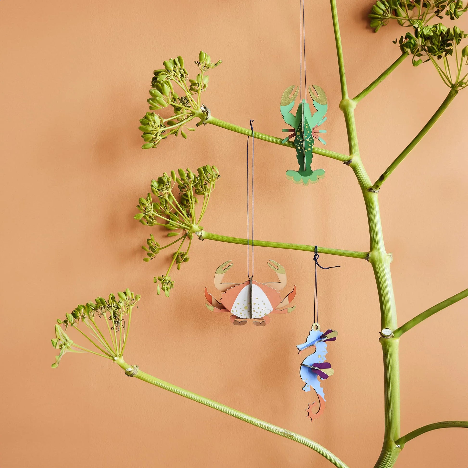 Sea Horse Nüline Distribution Cardboard Cutouts art-noise.myshopify.com sea-horse Sea Horse Nüline Distribution Cardboard Cutouts art-noise.myshopify.com sea-horse