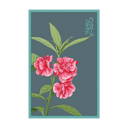 Shido Seeds Pink Rose Balsam Flower Plant Seeds
