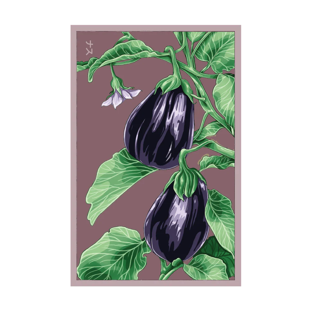 Shido Seeds Black Beauty Eggplant