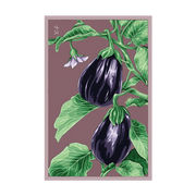 Shido Seeds Black Beauty Eggplant