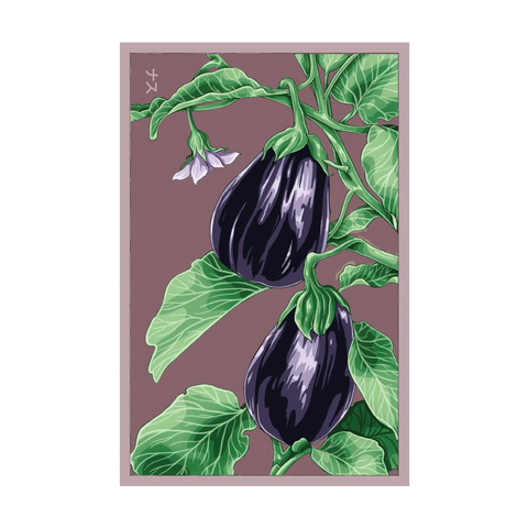 Shido Seeds Black Beauty Eggplant