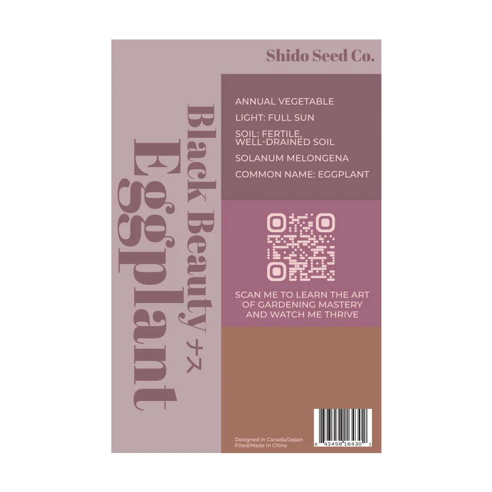 Shido Seeds Black Beauty Eggplant