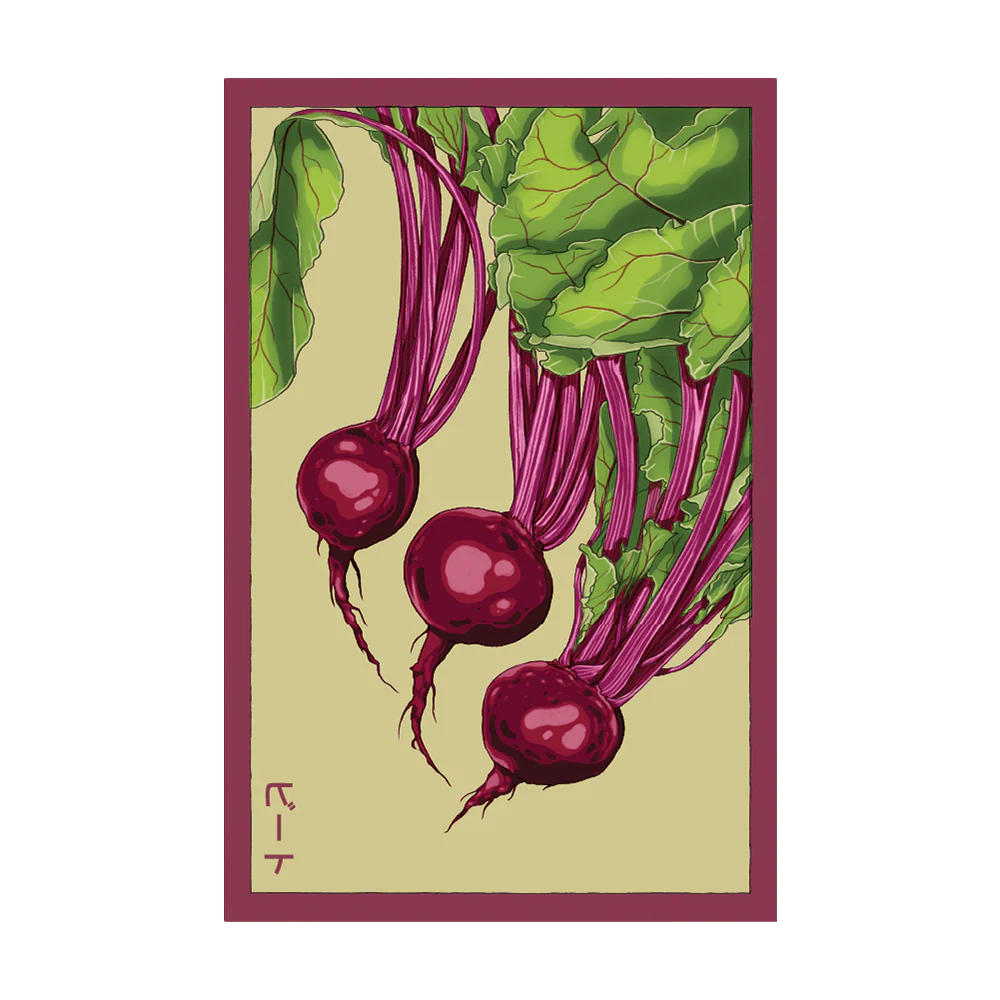 Shido Seeds Beet Seeds Packet