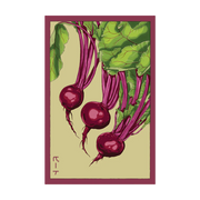 Shido Seeds Beet Seeds Packet