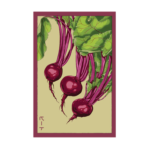 Shido Seeds Beet Seeds Packet