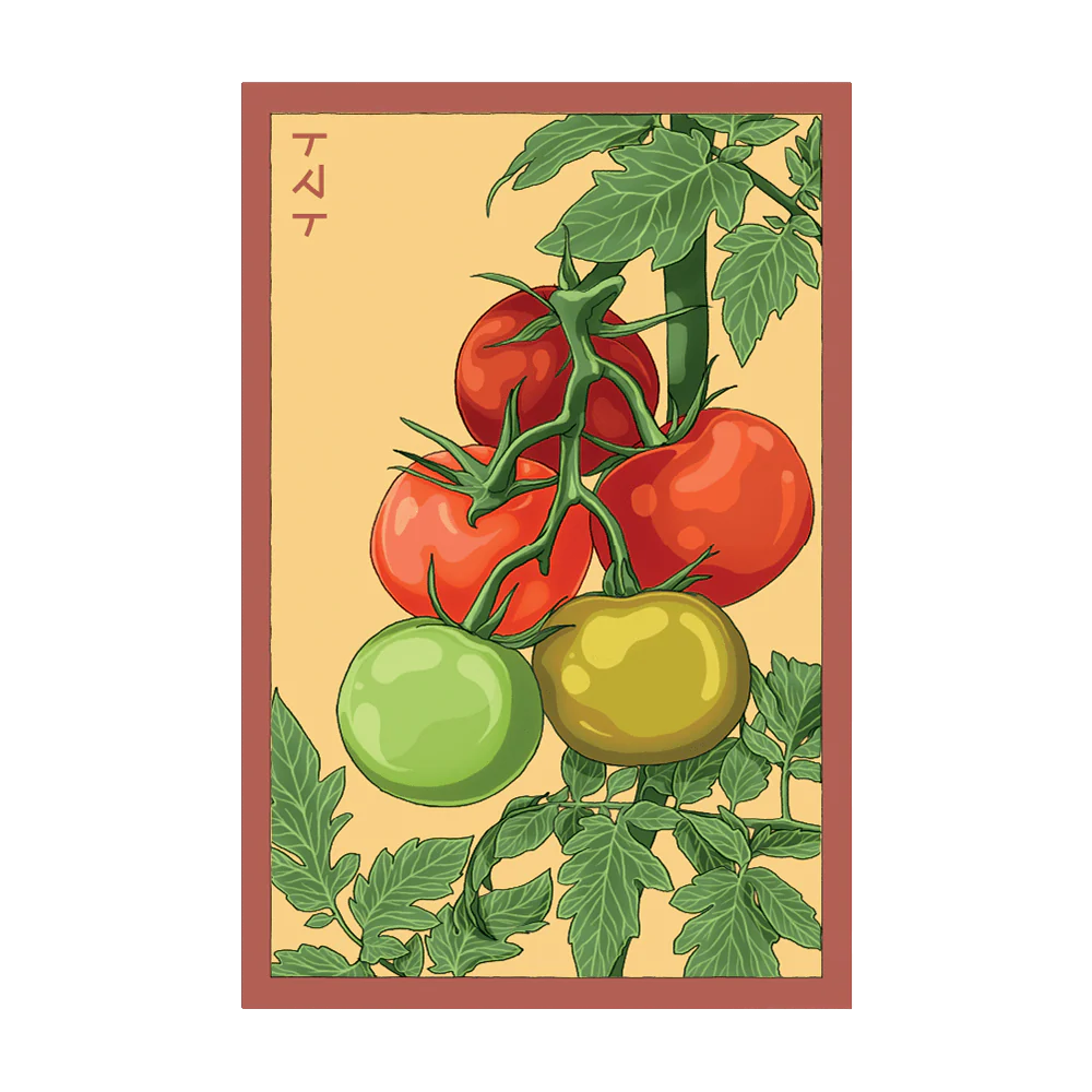 Shido Seeds Beefsteak Tomato Vegetable Herb Garden