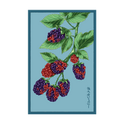 Shido Seeds Boysenberry Flower