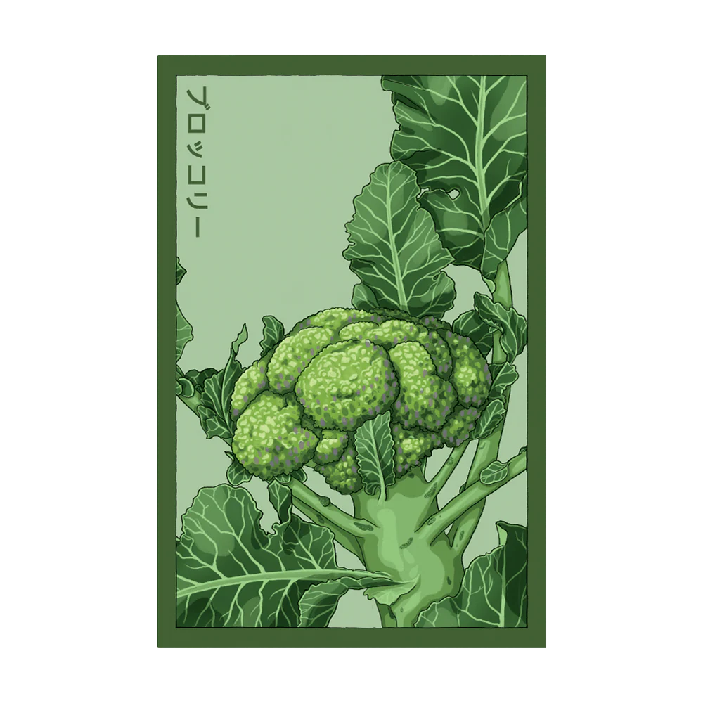 Shido Seeds Broccoli Seeds Packet