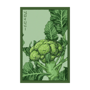 Shido Seeds Broccoli Seeds Packet