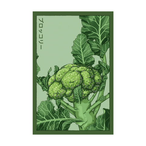 Shido Seeds Broccoli Seeds Packet