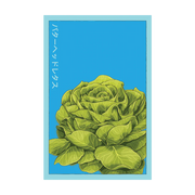Shido Seeds Butterhead Lettuce Seeds Packet