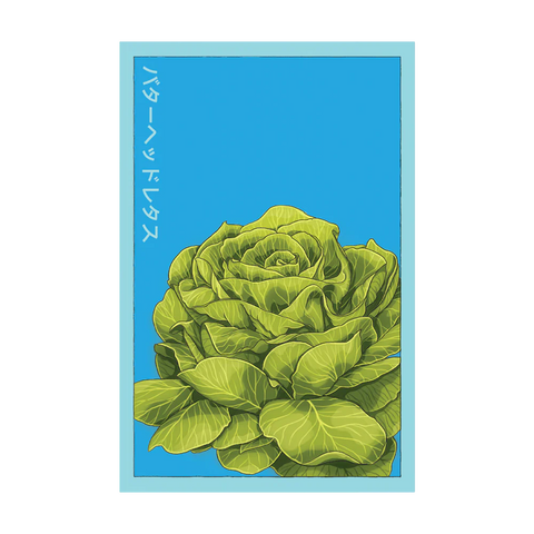 Shido Seeds Butterhead Lettuce Seeds Packet