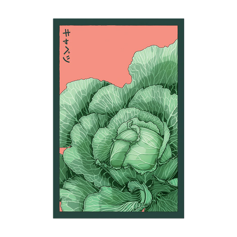 Shido Seeds Cabbage Seeds Packet