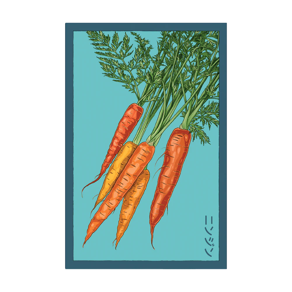 Shido Seeds Carrot Seeds Packet