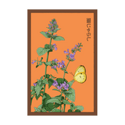 Shido Seeds Catnip Flower Seed Packet
