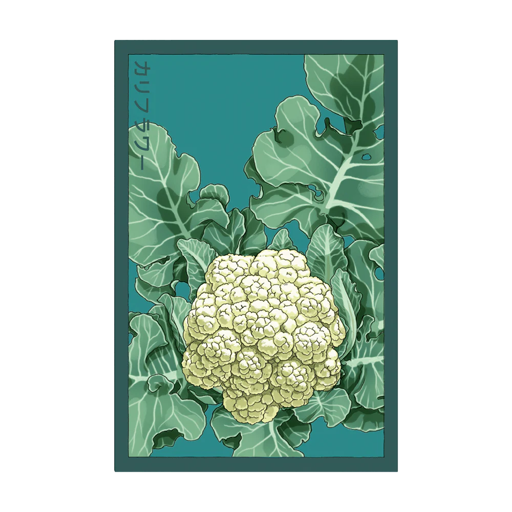 Shido Seeds Cauliflower Seeds Packet