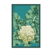 Shido Seeds Cauliflower Seeds Packet