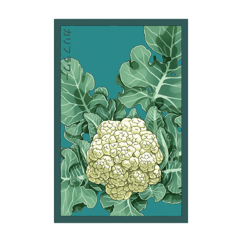 Shido Seeds Cauliflower Seeds Packet