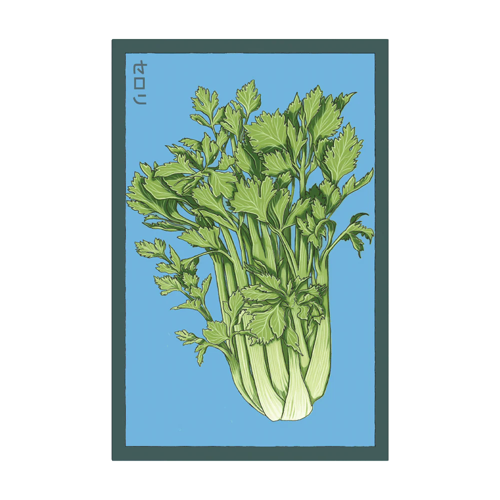 Shido Seeds Celery Seeds Packet