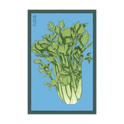 Shido Seeds Celery Seeds Packet