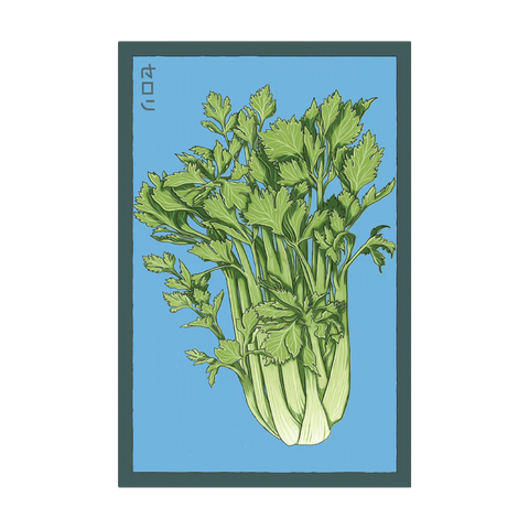Shido Seeds Celery Seeds Packet