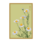 Shido Seeds Chamomile Flower Seeds