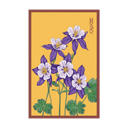 Shido Seeds Columbine Flower Seeds Packet