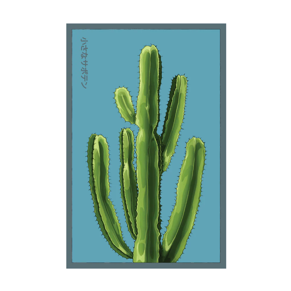 Shido Seeds Small Mixed Cacti Indoor Seeds Packet