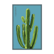 Shido Seeds Small Mixed Cacti Indoor Seeds Packet