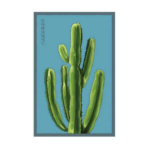 Shido Seeds Small Mixed Cacti Indoor Seeds Packet