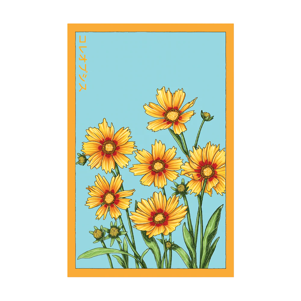 Shido Seeds Coreopsis Seeds Packet