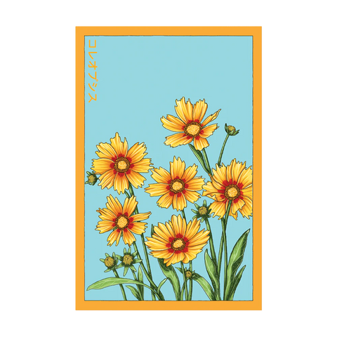 Shido Seeds Coreopsis Seeds Packet