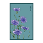 Shido Seeds Blue Cornflower