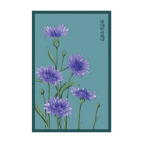 Shido Seeds Blue Cornflower