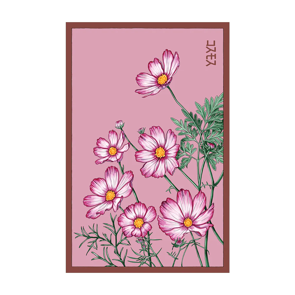 Shido Seeds Cosmos Flower