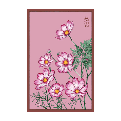 Shido Seeds Cosmos Flower