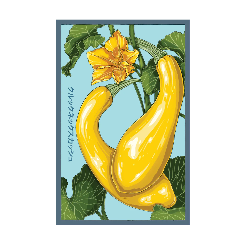 Shido Seeds Early Golden Crookneck Squash