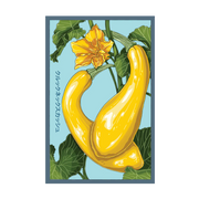 Shido Seeds Early Golden Crookneck Squash