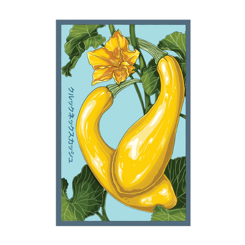 Shido Seeds Early Golden Crookneck Squash