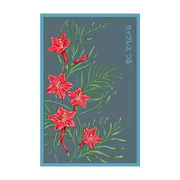 Shido Seeds Cypress Vine Seeds Packet