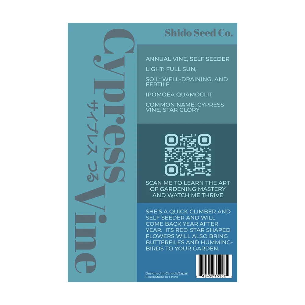 Shido Seeds Cypress Vine Seeds Packet