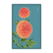 Shido Seeds Dahlia Flower Seeds Packet