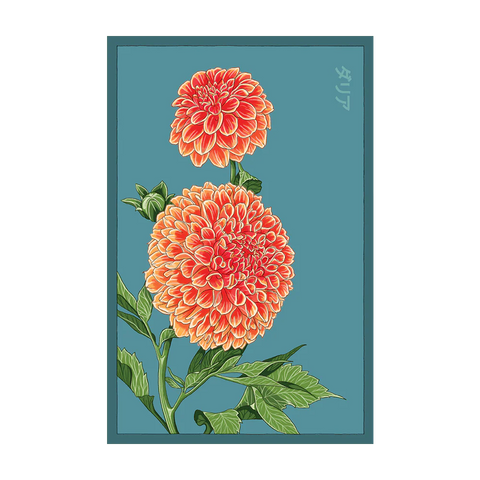 Shido Seeds Dahlia Flower Seeds Packet