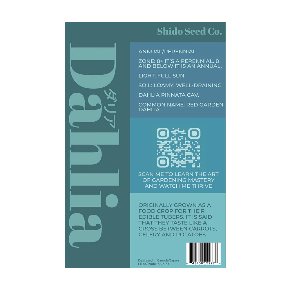 Shido Seeds Dahlia Flower Seeds Packet