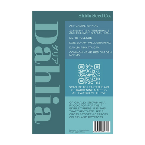 Shido Seeds Dahlia Flower Seeds Packet