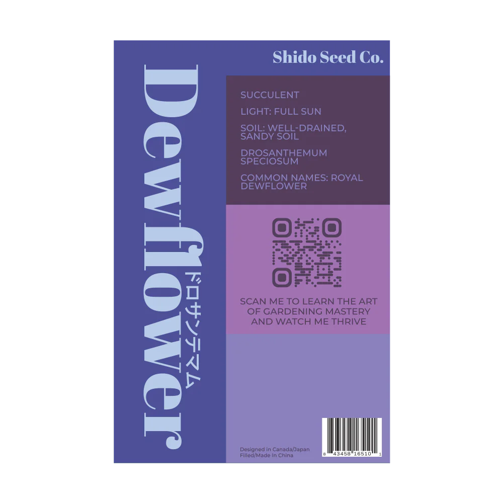 Shido Seeds Dewflower Flower Seeds Packet